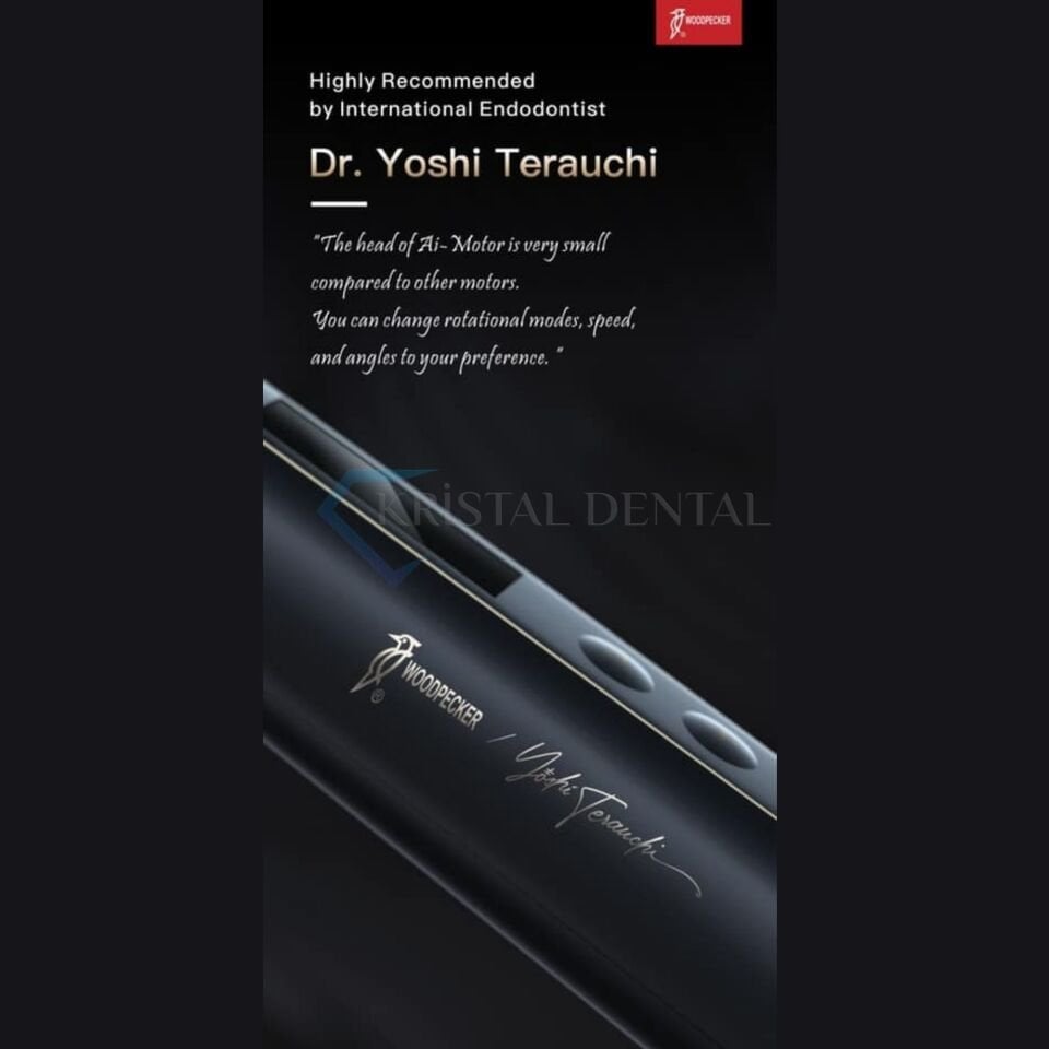 Woodpecker Black Ai-Motor Endomotor ve Apex Bulucu - Black Edition