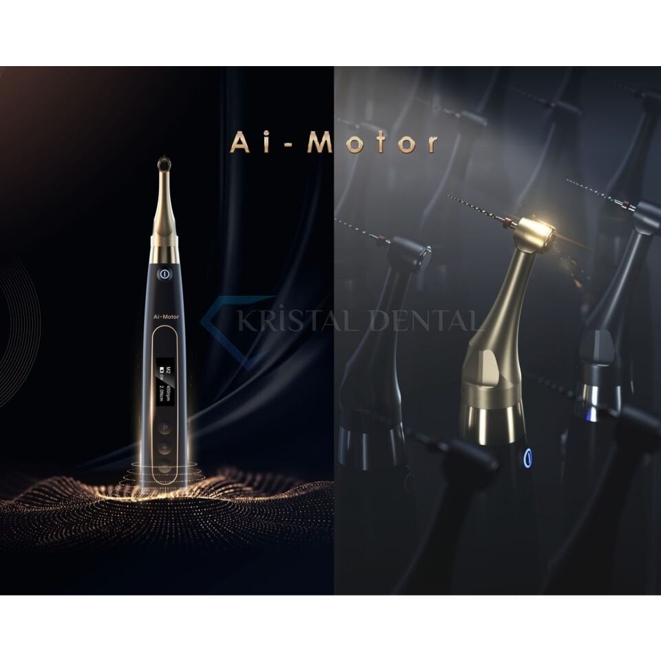 Woodpecker Black Ai-Motor Endomotor ve Apex Bulucu - Black Edition