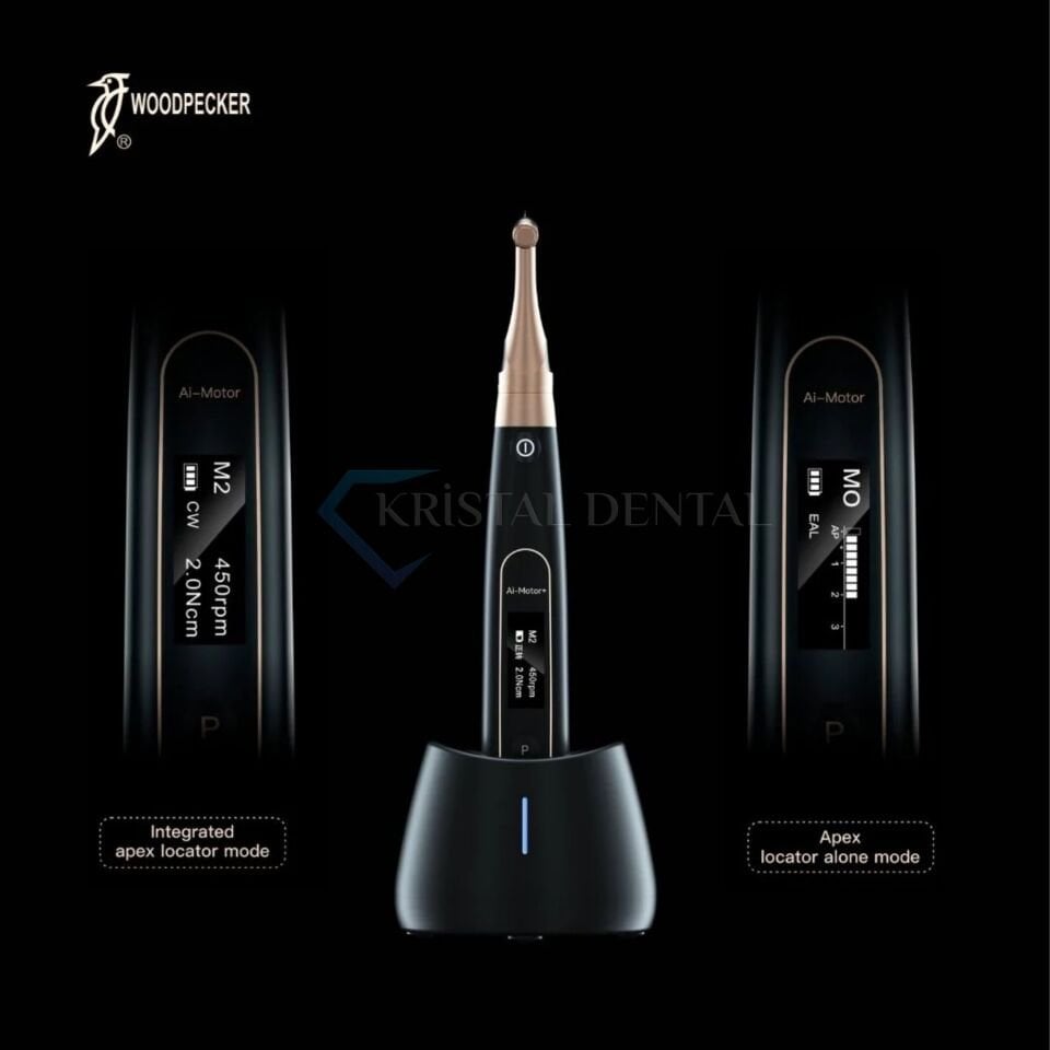 Woodpecker Black Ai-Motor Endomotor ve Apex Bulucu - Black Edition