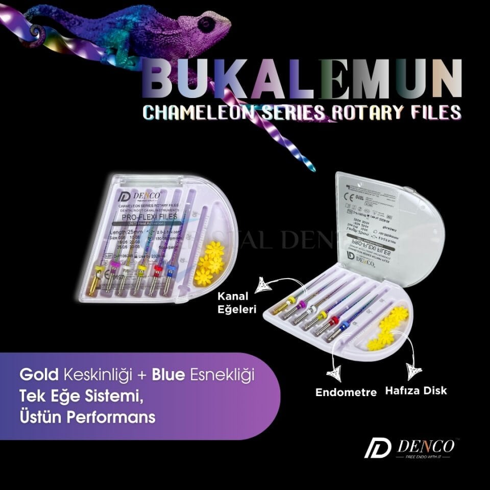 Denco Chameleon Kanal Eğesi (Bukalemun)