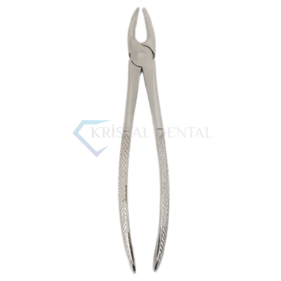 Üst Küçük Azı Diş Davyesi