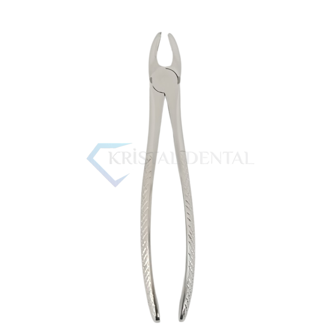 Sağ Üst Azı Diş Davyesi