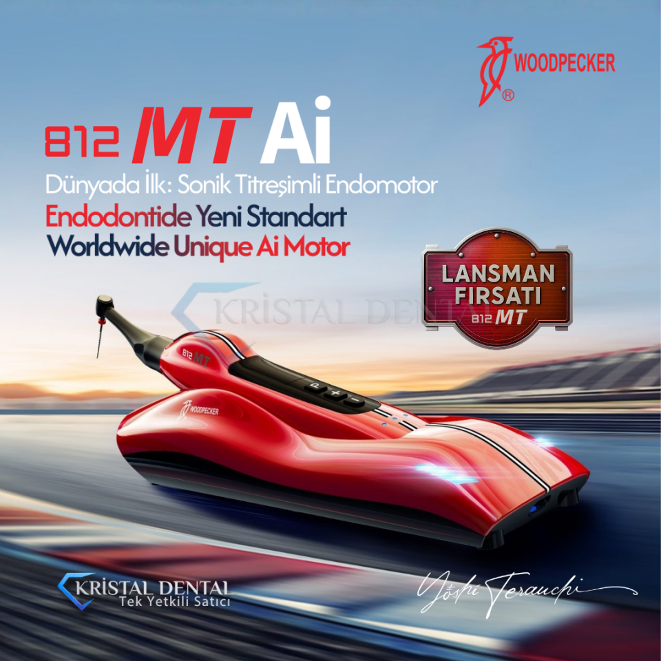 Woodpecker 812 MT Ai Endomotor