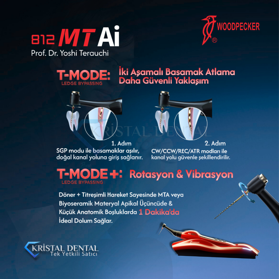 Woodpecker 812 MT Ai Endomotor