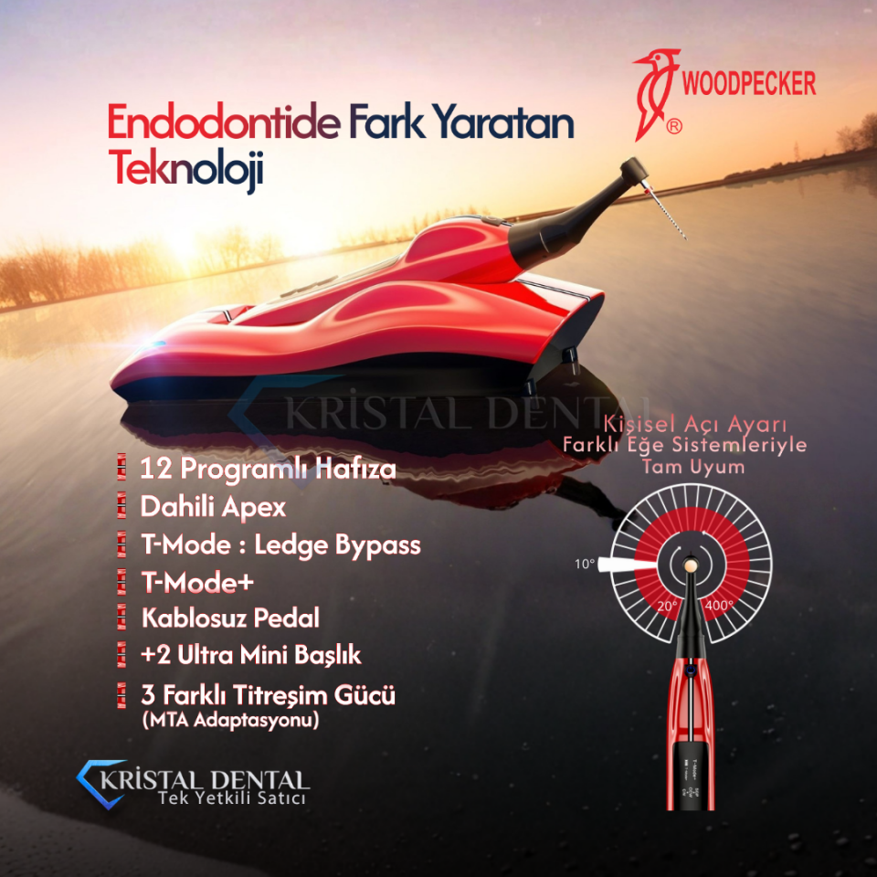 Woodpecker 812 MT Ai Endomotor