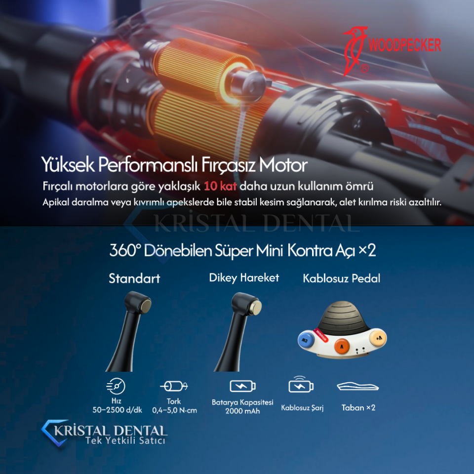 Woodpecker 812 MT Ai Endomotor