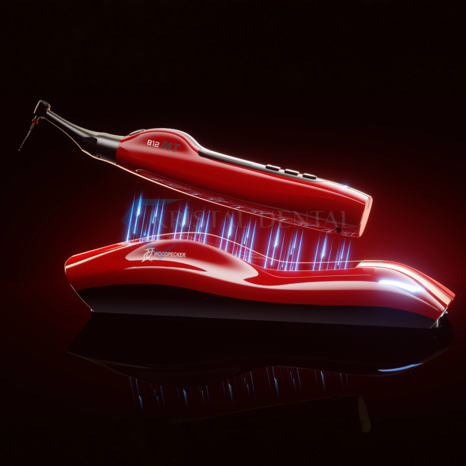 Woodpecker 812 MT Ai Endomotor