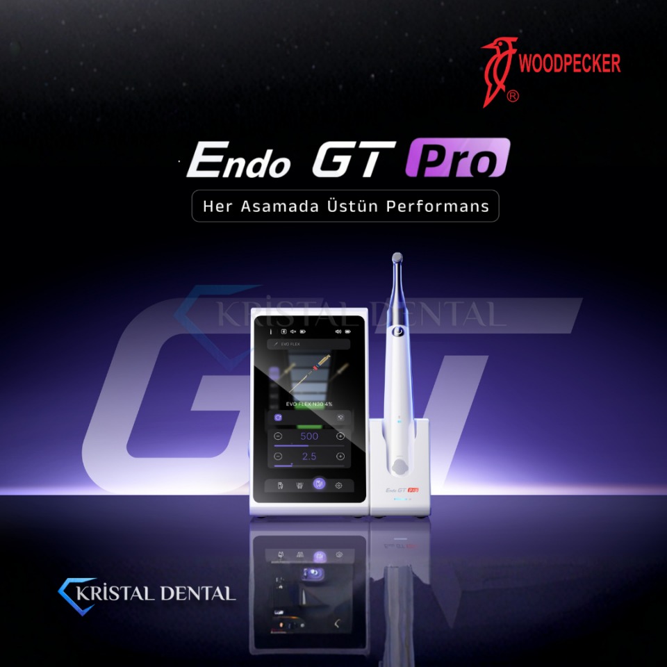 Woodpecker Endo GT Pro Endomotor