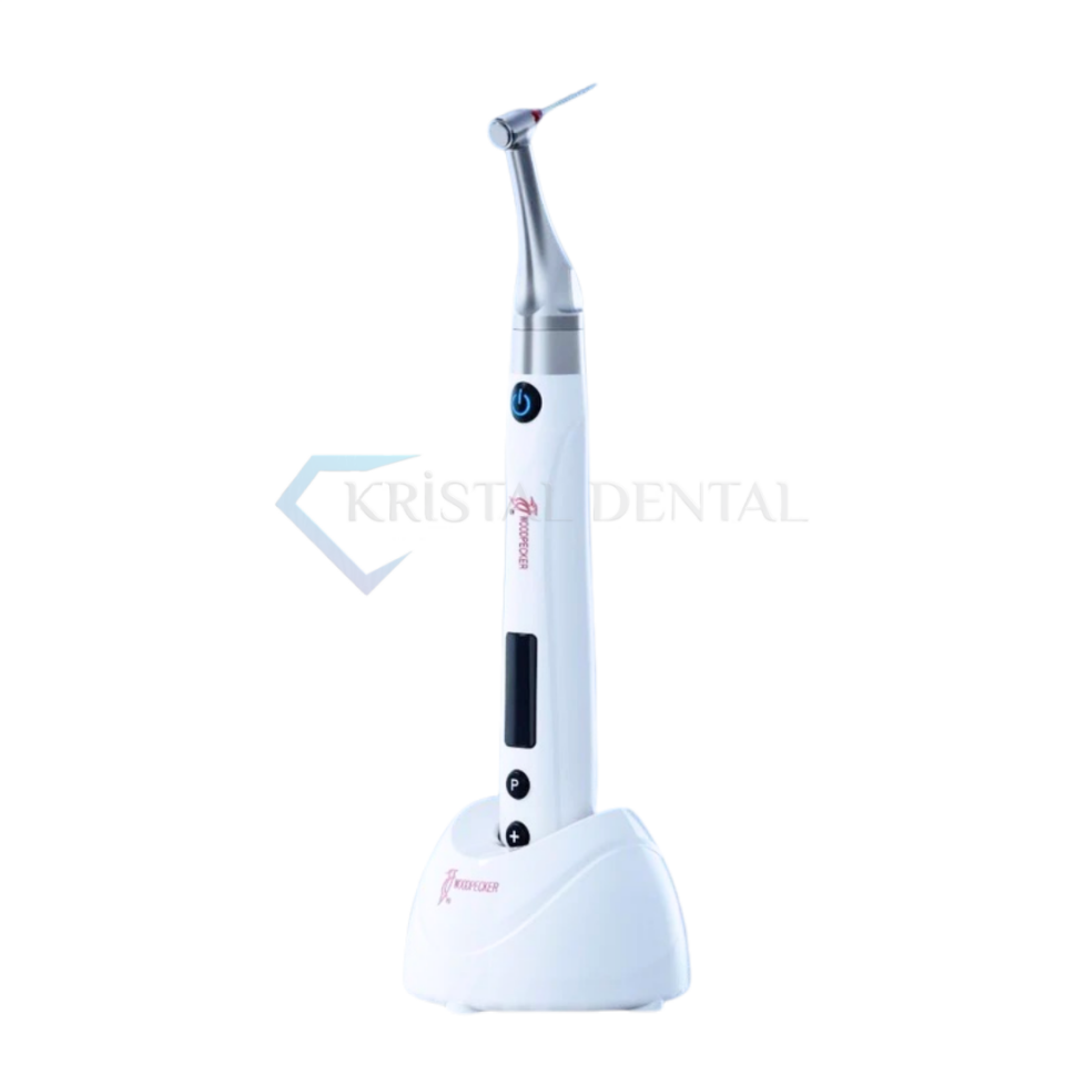 Woodpecker Endo Free Endomotor