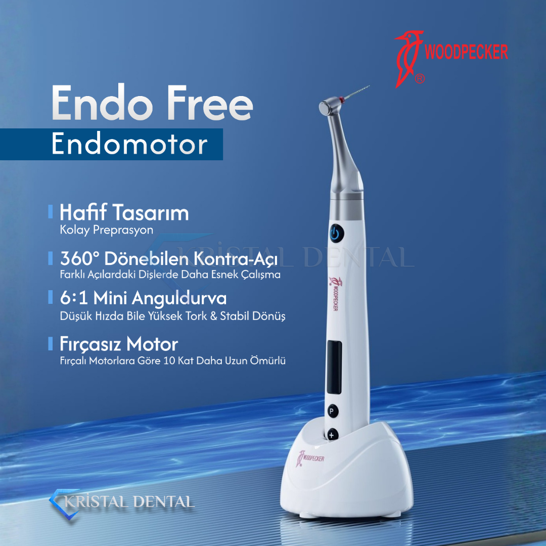 Woodpecker Endo Free Endomotor