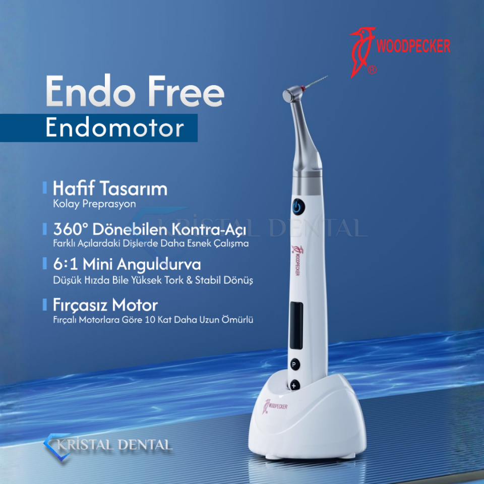 Woodpecker Endo Free Endomotor