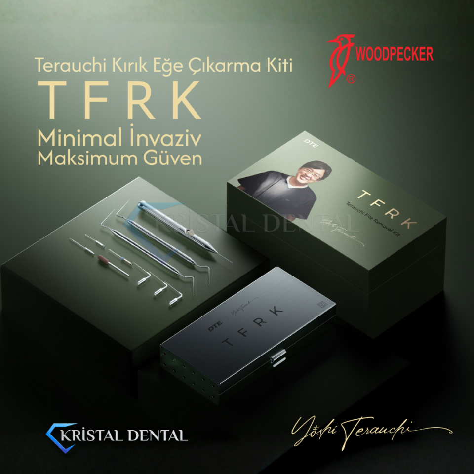 Woodpecker Kırık Kanal Eğesi Çıkarma Seti TRFK KİT