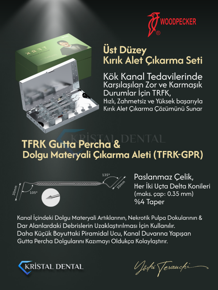 Woodpecker Kırık Kanal Eğesi Çıkarma Seti TRFK KİT