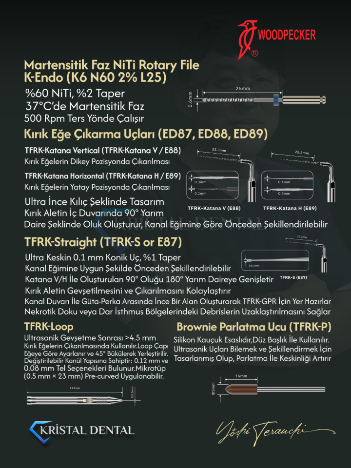 Woodpecker Kırık Kanal Eğesi Çıkarma Seti TRFK KİT