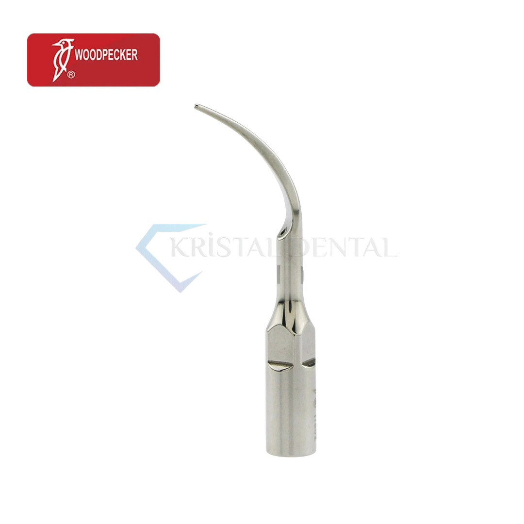 Woodpecker Kavitron Ucu